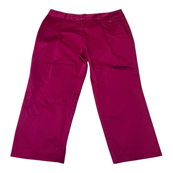 Liz Claiborne Pants - Liz Claiborne pleaded front pants two front pockets and two back pockets 20W